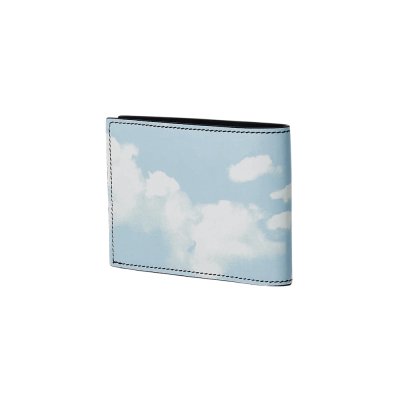 THE ARCHIVE CLOUDS WALLET